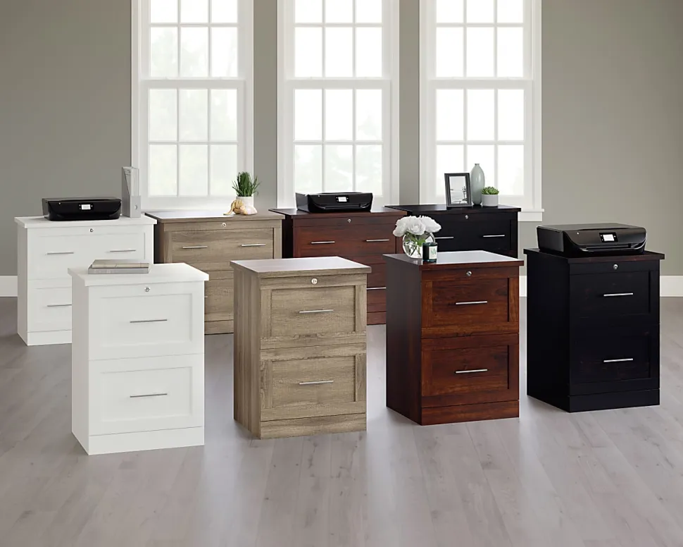 Realspace® 17"D Vertical 2-Drawer File Cabinet, Peppered Black