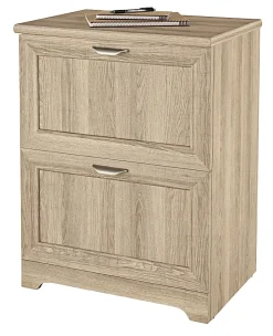 Realspace® Magellan 23-1/2"W x 16-1/2"D Lateral 2-Drawer File Cabinet, Blonde Ash