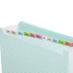 Realspace⢠13-Pocket Poly Expanding File Folder, Letter Size, 13" Expansion, Blue/White