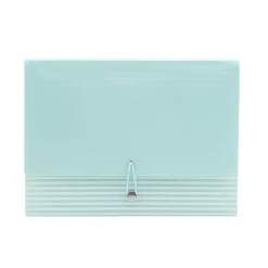 Realspace™ 13-Pocket Poly Expanding File Folder, Letter Size, 13