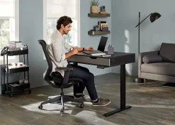 Realspace® Smart Electric 48
