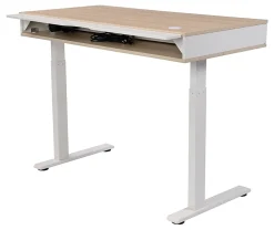 Realspace® Smart Electric 48