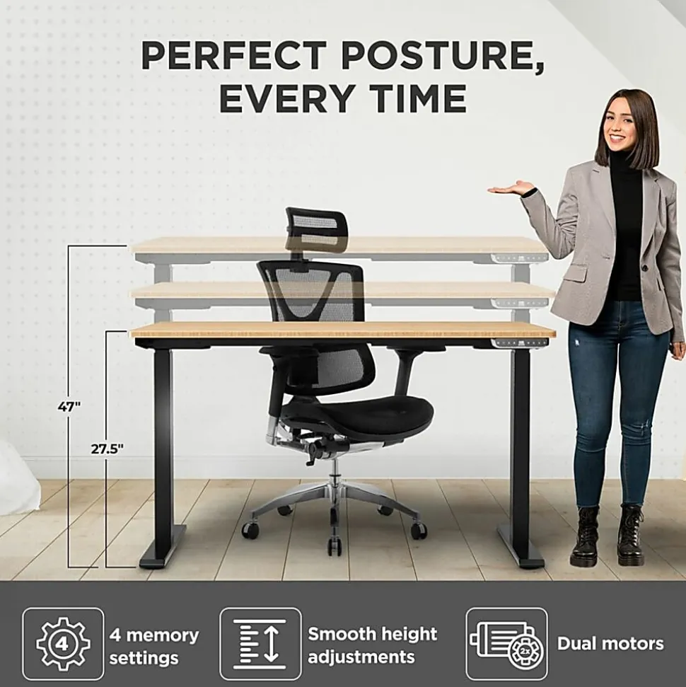 Rise Up® Electric 48"W Standing Computer Desk, Natural/Silver