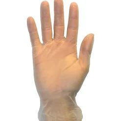Safety Zone Powder Free Clear Vinyl Gloves - 9.25" Glove - Large Size - Clear - Latex-free, DEHP-free, DIN - GVP9LGHH