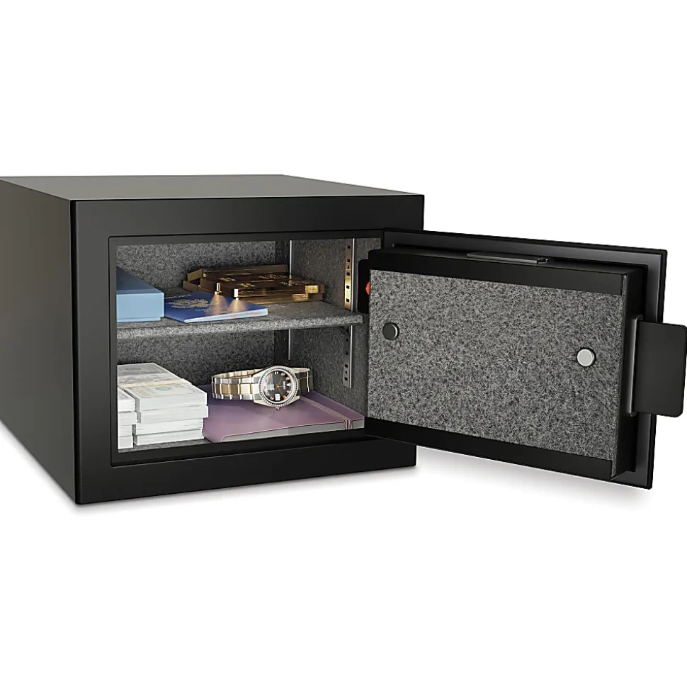 Sanctuary Onyx Fireproof Home And Office Safe With Electronic Lock, 0.5 Cu. Ft. Capacity, Matte Black