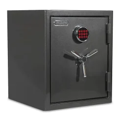 Sanctuary Platinum Digital Home/Office Safe, 3.32 Cu. Ft., Dark Grey Metallic