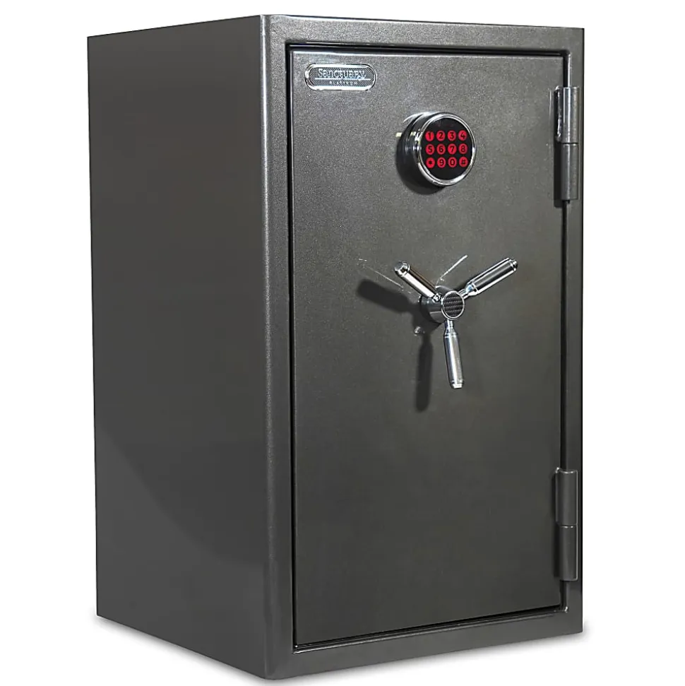 Sanctuary Platinum Fireproof/Waterproof Home And Office Safe With Electronic Lock, 4.98 Cu. Ft. Capacity, Dark Gray Metallic
