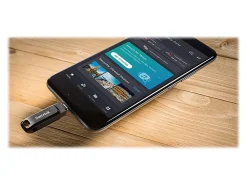 SanDisk USB 3.2 Ultra Dual Drive Go, 265GB, Black