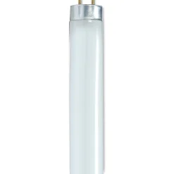 Satco® 48" T8 Fluorescent Bulbs, 32 Watt, Carton Of 6