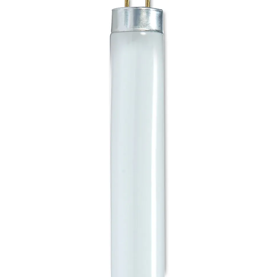 Satco® T8 Linear Fluorescent Light Bulbs, 32 Watts, Pack Of 30 Bulbs