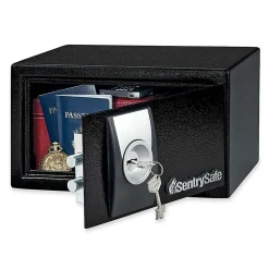 Sentry®Safe X031 Security Safe