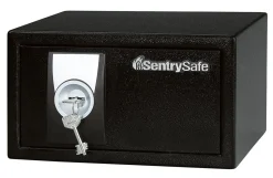 Sentry®Safe X031 Security Safe