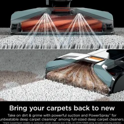 SHARK CarpetXpert Upright Carpet & Area Rug Cleaner, Slate Green, Total Qty 1