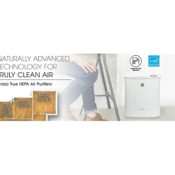 Sharp True HEPA Air Purifier for Small Rooms with Express Clean (FPF30UH) - True HEPA - 143 Sq. ft. - 785.5 gal/min