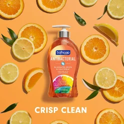 Softsoap® Antibacterial Liquid Hand Soap, Crisp Clean Scent, 11.25oz pump