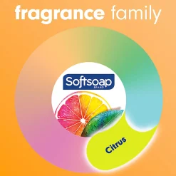 Softsoap® Antibacterial Liquid Hand Soap, Crisp Clean Scent, 11.25oz pump