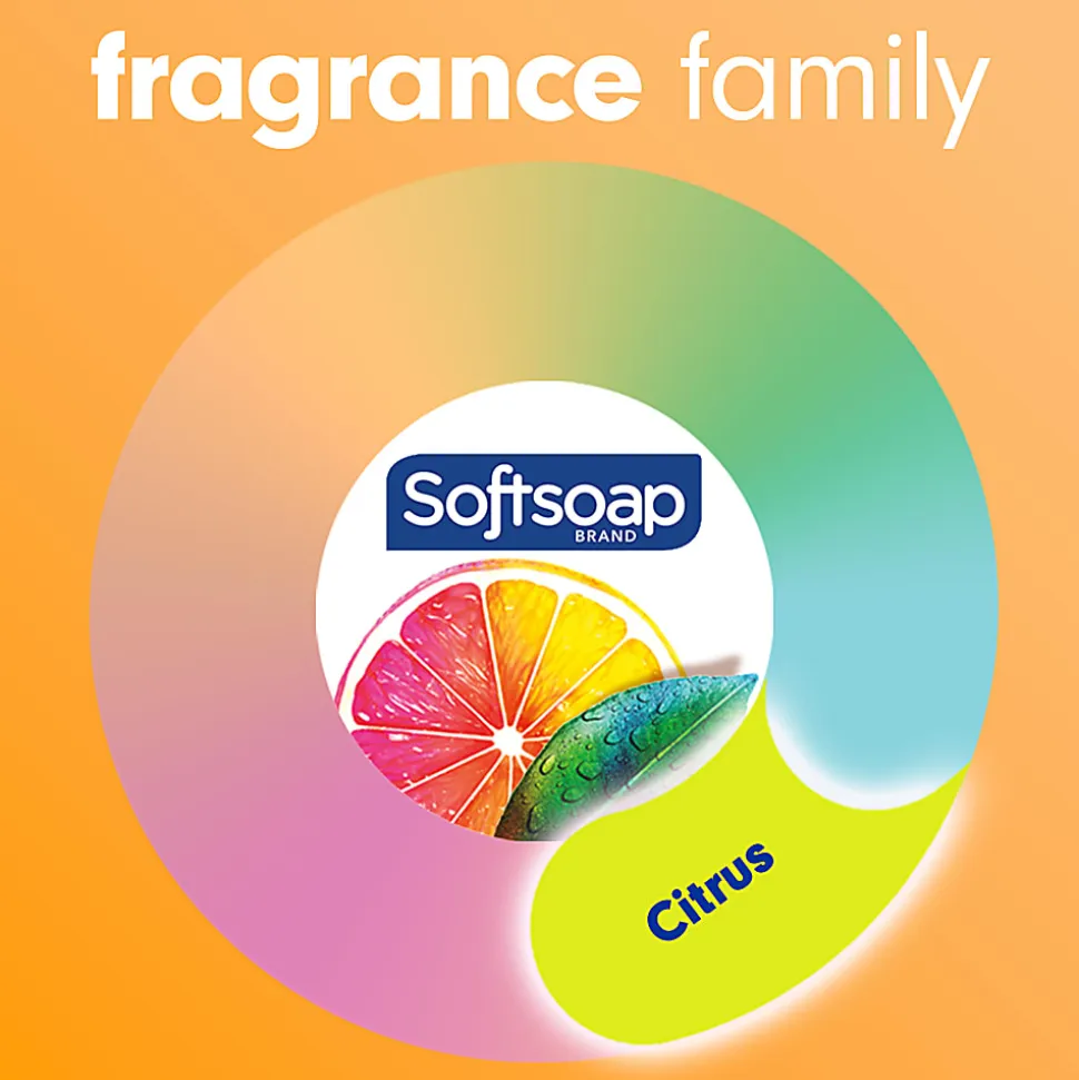 Softsoap® Antibacterial Liquid Hand Soap, Crisp Clean Scent, 11.25oz pump