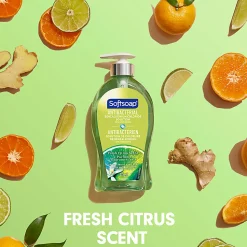 Softsoap® Antibacterial Liquid Hand Soap, Fresh Citrus Scent, 11.25 Oz, Total Qty 6