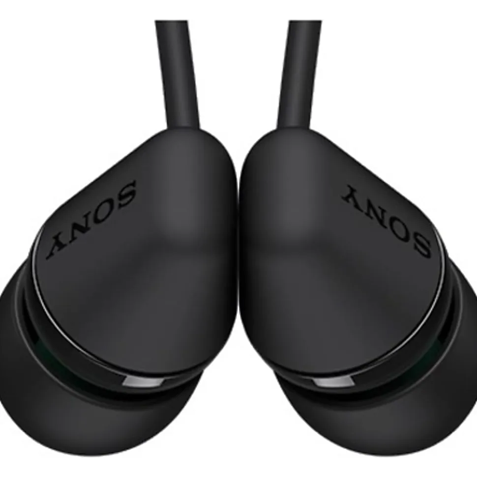Sony WIC200 Wireless Earbuds, Black