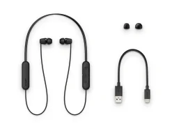 Sony WIC200 Wireless Earbuds, Black