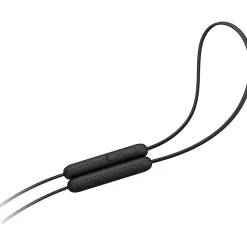 Sony WIC200 Wireless Earbuds, Black