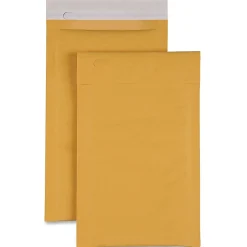 Sparco Size 0 Bubble Cushioned Mailers - Bubble - #0 - 6
