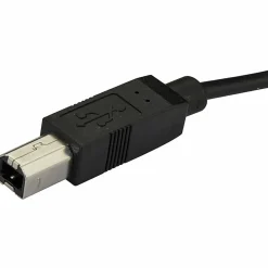 StarTech.com 2m 6ft USB C to USB B Cable - Black