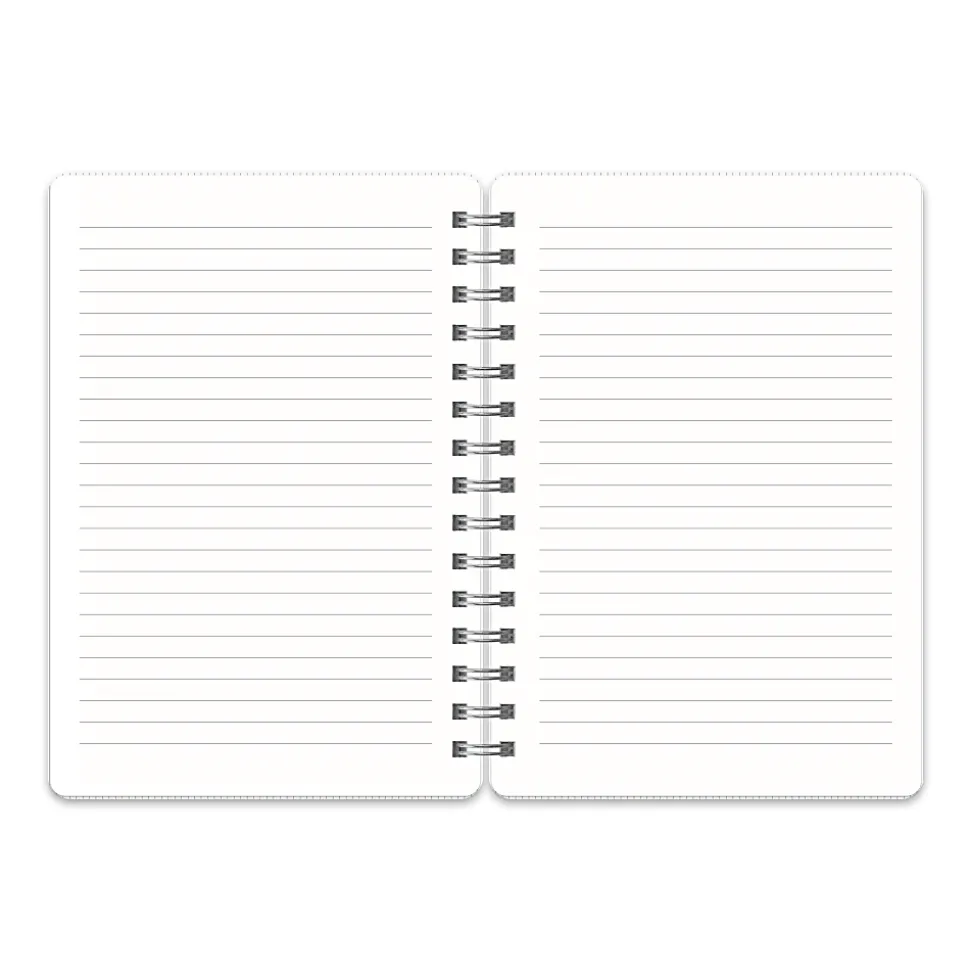 Studio Oh! Agatha Notebook, 8-1/4”L x 6-1/4”W x 5/8”D, 1 Subject, College Rule, 208 Pages, Organized Chaos (Gorgeous Gray)