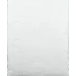 Survivor® DuPont™ Tyvek® Padded Mailers, 10" x 13", White, Box Of 25