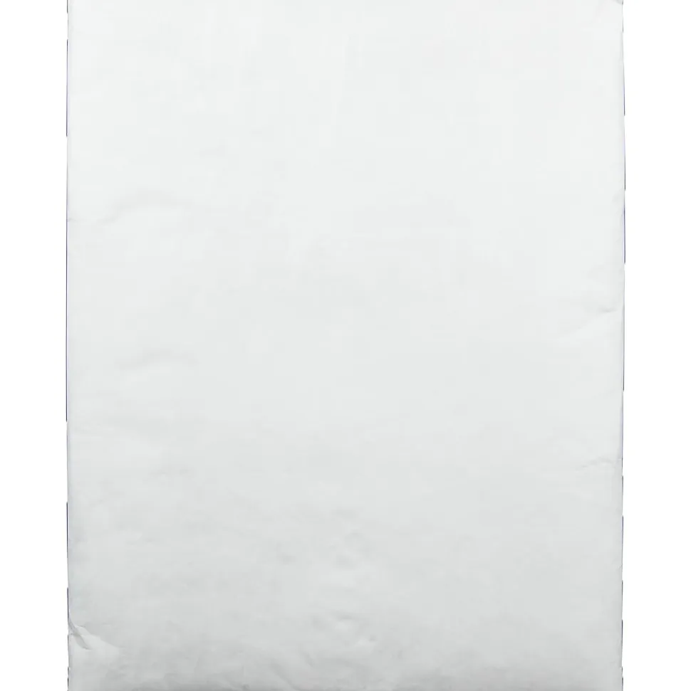 Survivor® DuPont™ Tyvek® Padded Mailers, 10" x 13", White, Box Of 25