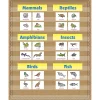 Teacher Created Resources 10-Pocket Pocket Chart, 34" x 44", Burlap