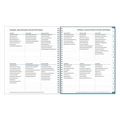 Teacher Lesson Planner BS Ditsy Dapple 8.5x11 AY26–27 W/M