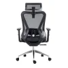 Techni Mobili Truly Ergonomic Mesh High-Back Task Chair, Black, Total Qty 1