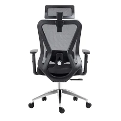 Techni Mobili Truly Ergonomic Mesh High-Back Task Chair, Black, Total Qty 1