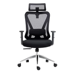 Techni Mobili Truly Ergonomic Mesh High-Back Task Chair, Black, Total Qty 1