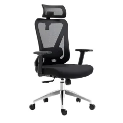 Techni Mobili Truly Ergonomic Mesh High-Back Task Chair, Black, Total Qty 1
