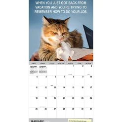 2026 TF Publishing Humor Monthly Wall Calendar, 12” x 12”, Corporate Cats, January To December