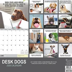 2026 TF Publishing Humor Monthly Wall Calendar, 12” x 12”, Desk Dogs, January To December