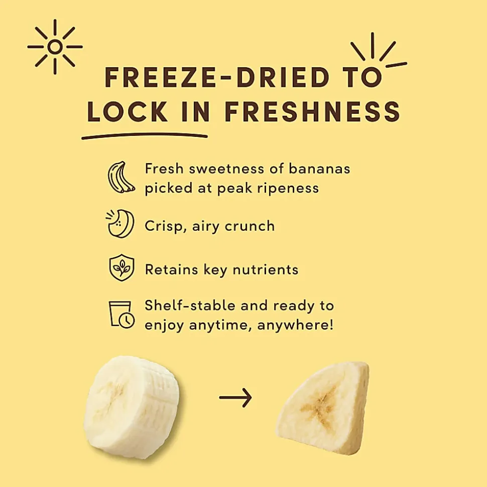 Tru Fru Hyper-Dried Grab & Go Dried Bananas In Dark Chocolate, 1.7 Oz, Total Qty 12