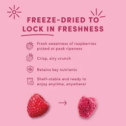 Tru Fru Hyper-Dried Grab & Go Raspberries In White & Dark Chocolate, 1.7 Oz, Total Qty 12