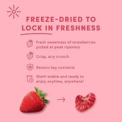 Tru Fru Hyper-Dried Grab & Go Strawberries In White & Dark Chocolate, 1.7 Oz, Total Qty 12