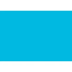 Tru-Ray Construction Paper, Heavyweight, 12