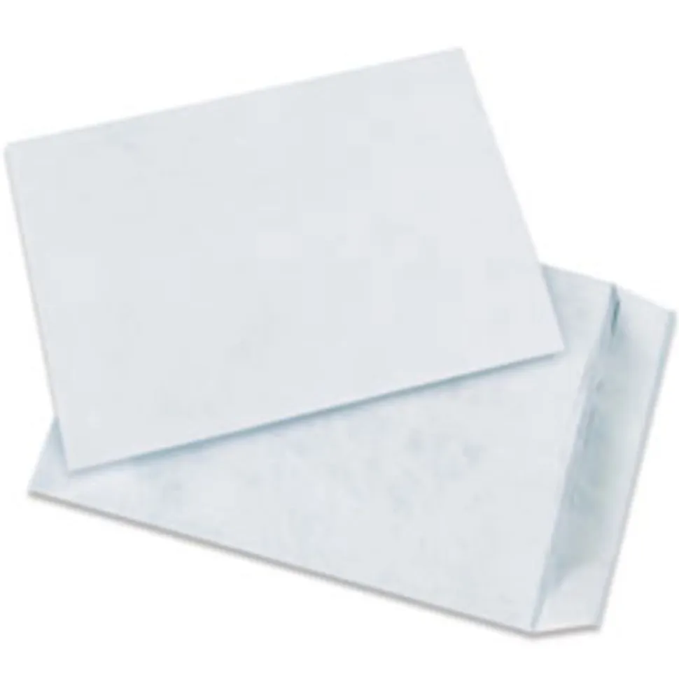 Tyvek® Envelopes, 13" x 19", End Opening, Plain White, Pack Of 100