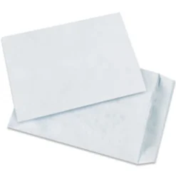 Tyvek® Envelopes, 10" x 15", End Opening, Plain White, Pack Of 100