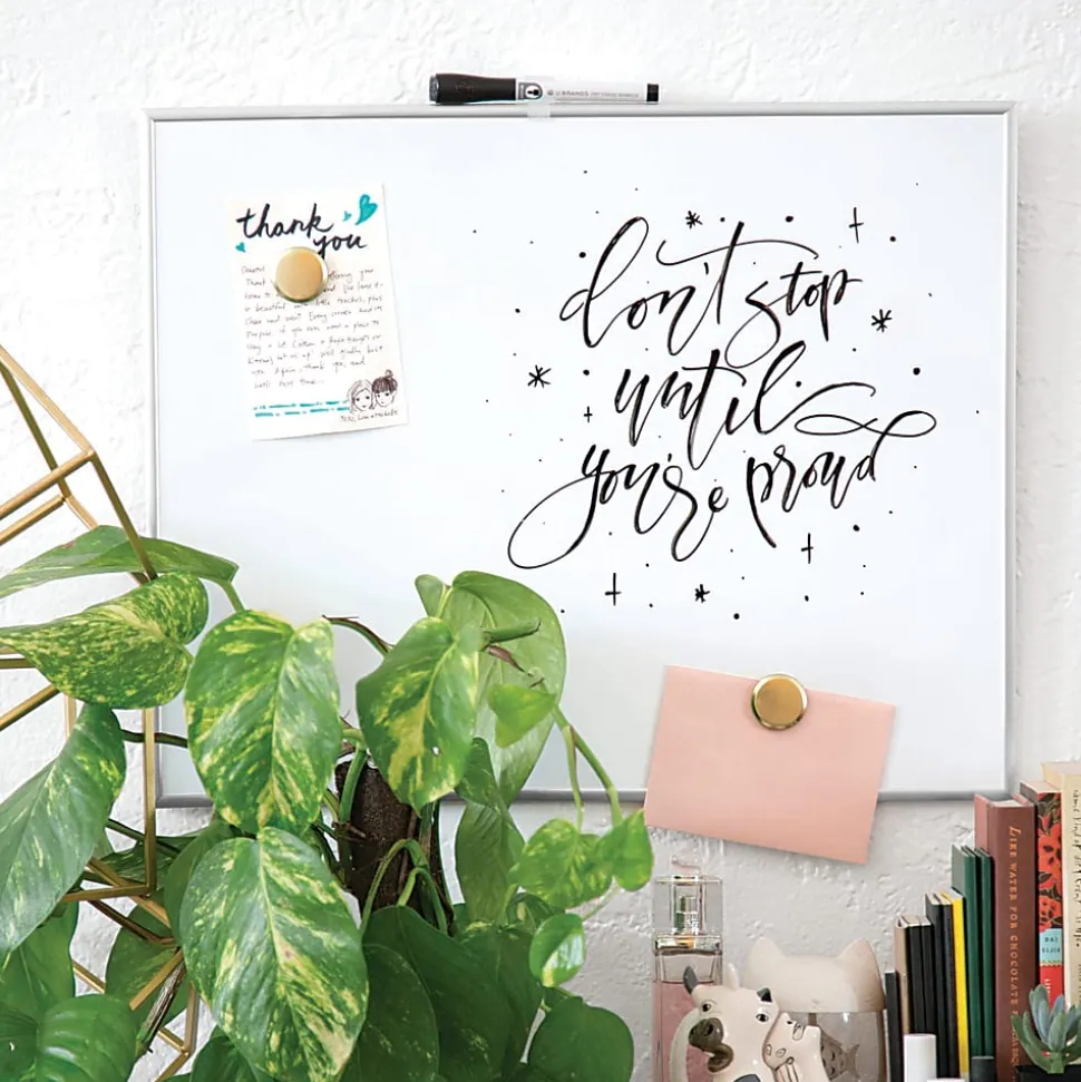 U Brands Magnetic Dry-Erase Board with White Magnet and Dry-Erase Marker, 20" X 16", Silver Aluminum Frame (356U00-01)