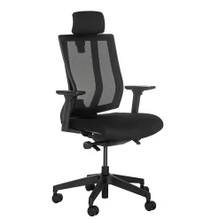 VARI Ergonomic Nylon High-Back Task Chair, With Headrest, Black
