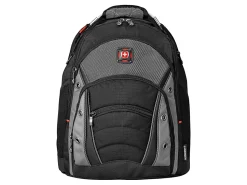 Wenger® Synergy Laptop Backpack, Black/Gray
