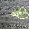 Westcott Carbo Titanium Glide Scissors, 8", Pointed, Green/White