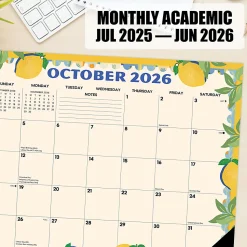 Willow Creek Press Academic Monthly Desk Pad Calendar, 17