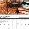 2026 Willow Creek Press Animals Monthly Wall Calendar, 12" x 12", What Dogs Teach Us, January To December, 53164